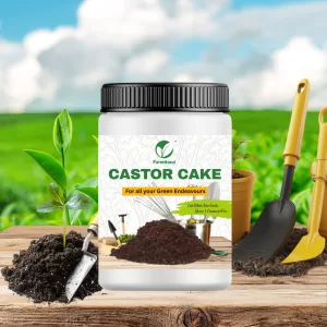 Farm Hand-Castor Cake