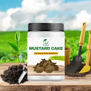 Mustard Cake