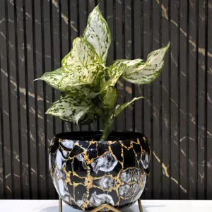 Elegant Metal Planter with Stand MP308