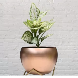 Elegant Metal Planter with Stand MP303